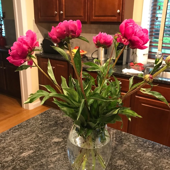 Meet your Posher, Inna - Picture 1 of 1